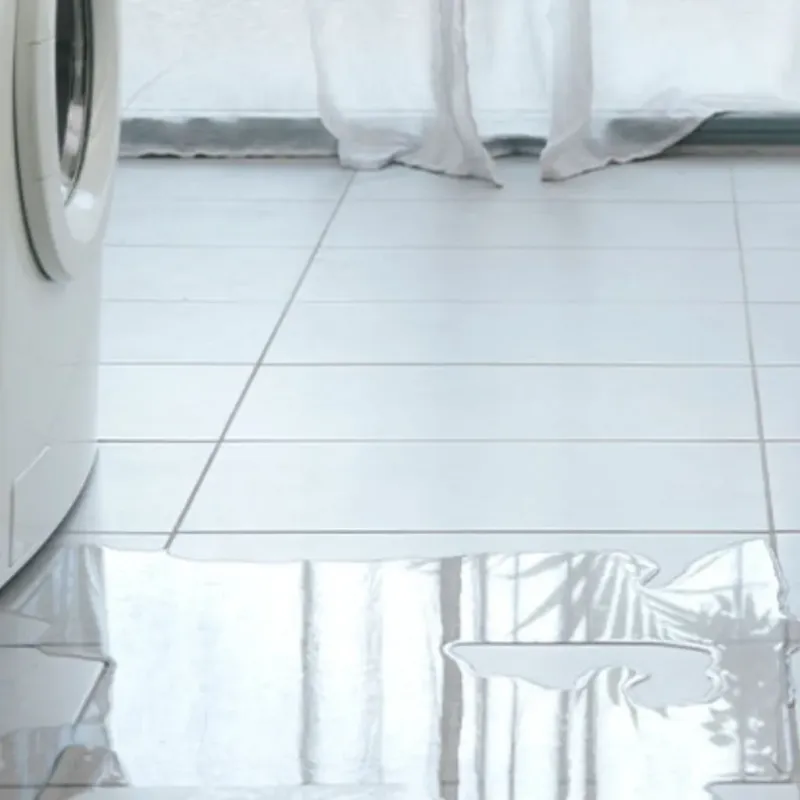 Appliance Leak Cleanup in Athena, OR