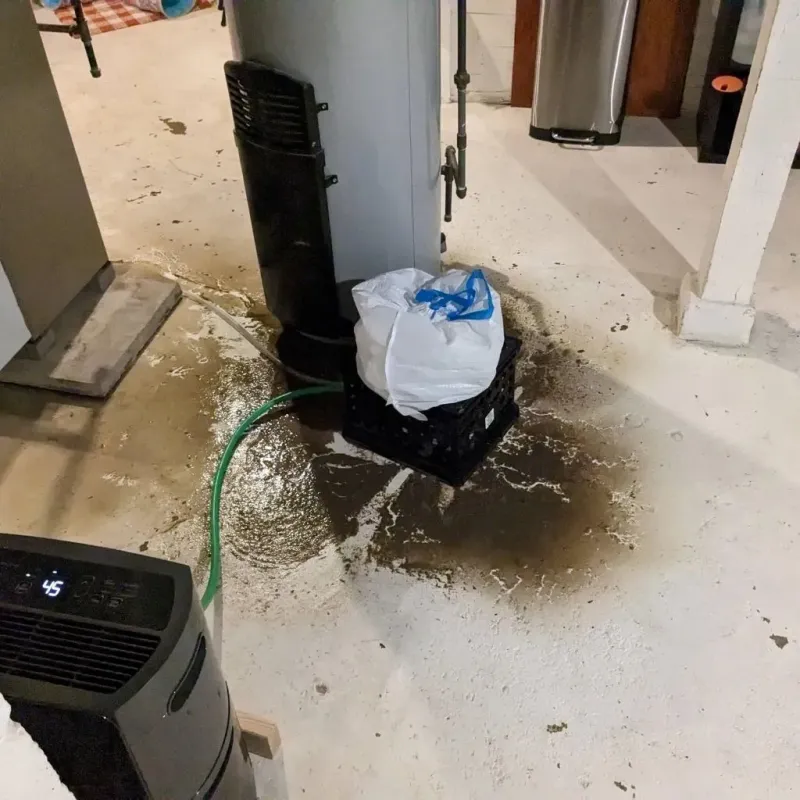 Sewage Backup Cleanup Service in Athena, OR